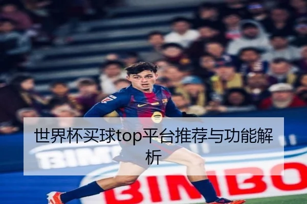 世界杯买球top平台推荐与功能解析