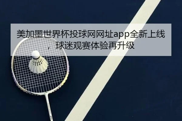 美加墨世界杯投球网网址app全新上线，球迷观赛体验再升级