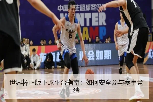 世界杯正版下球平台指南：如何安全参与赛事竞猜